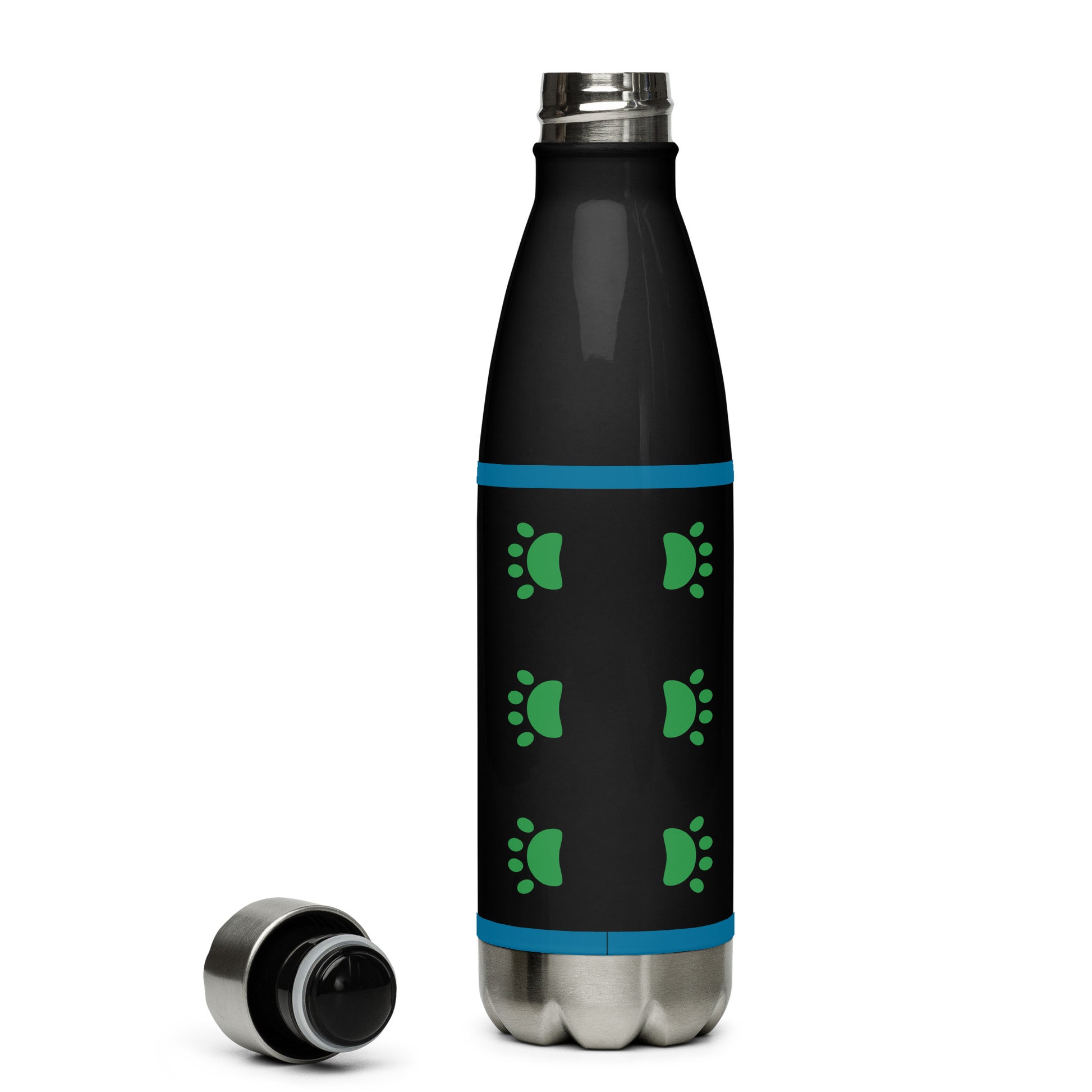 Back of stainless=steel water bottle with green paws and blue horizontal lines on top and bottom, green and blue text saying 'Dog Dad' and blue dog image on frong